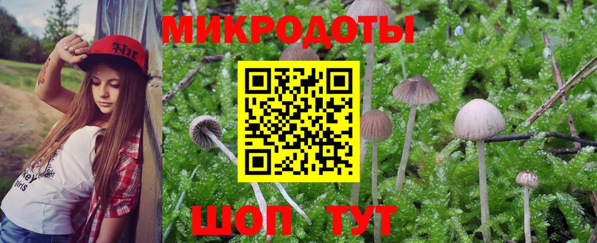 Псилоцибиновые грибы MAGIC MUSHROOMS  Вход с VPN  как найти наркотики  Владикавказ 